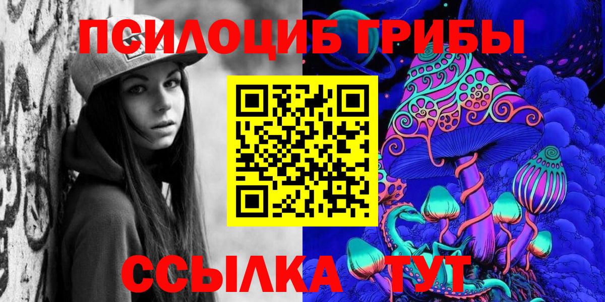 Меф Мурманск