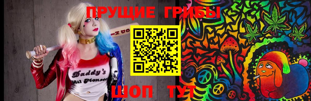 Галлюциногенные грибы Psilocybine cubensis Мурманск