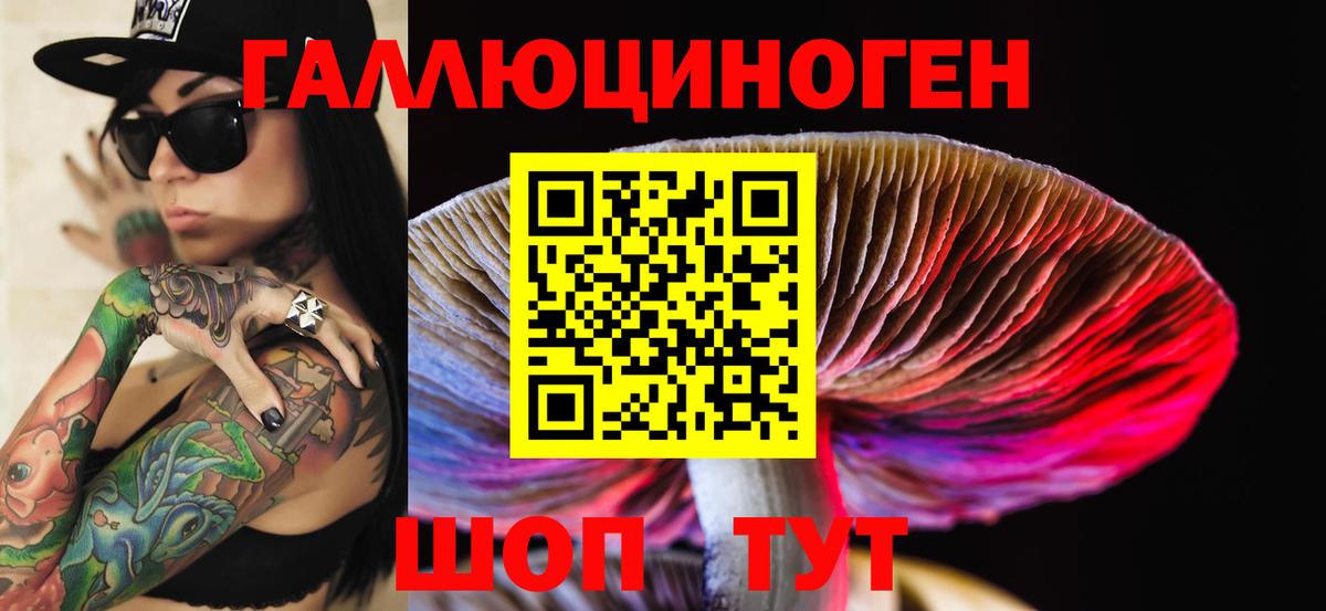Мурманск  Псилоцибиновые грибы прущие грибы  Вход с VPN 